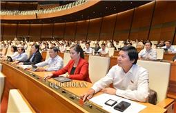 Quy định giảm 10 - 15% số đại biểu Hội đồng nhân dân các cấp